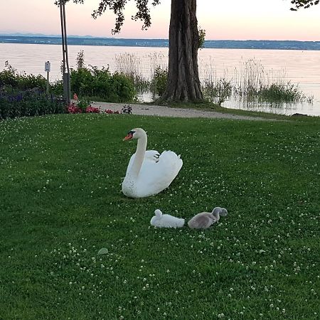 Malvelyns am Bodensee Immenstaad am Bodensee Buitenkant foto