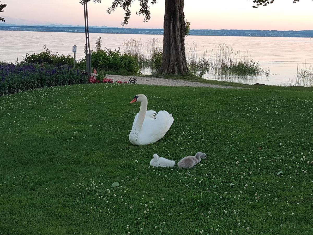 Malvelyns am Bodensee Immenstaad am Bodensee Buitenkant foto